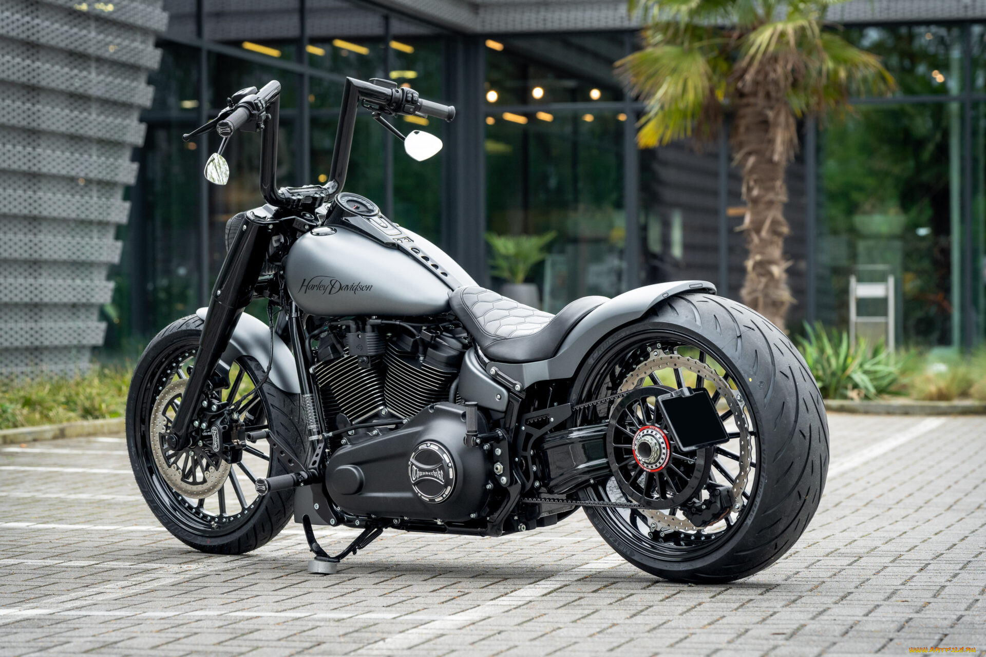 , harley-davidson, softail, fat, boy, silver, blast, customized, custombikes